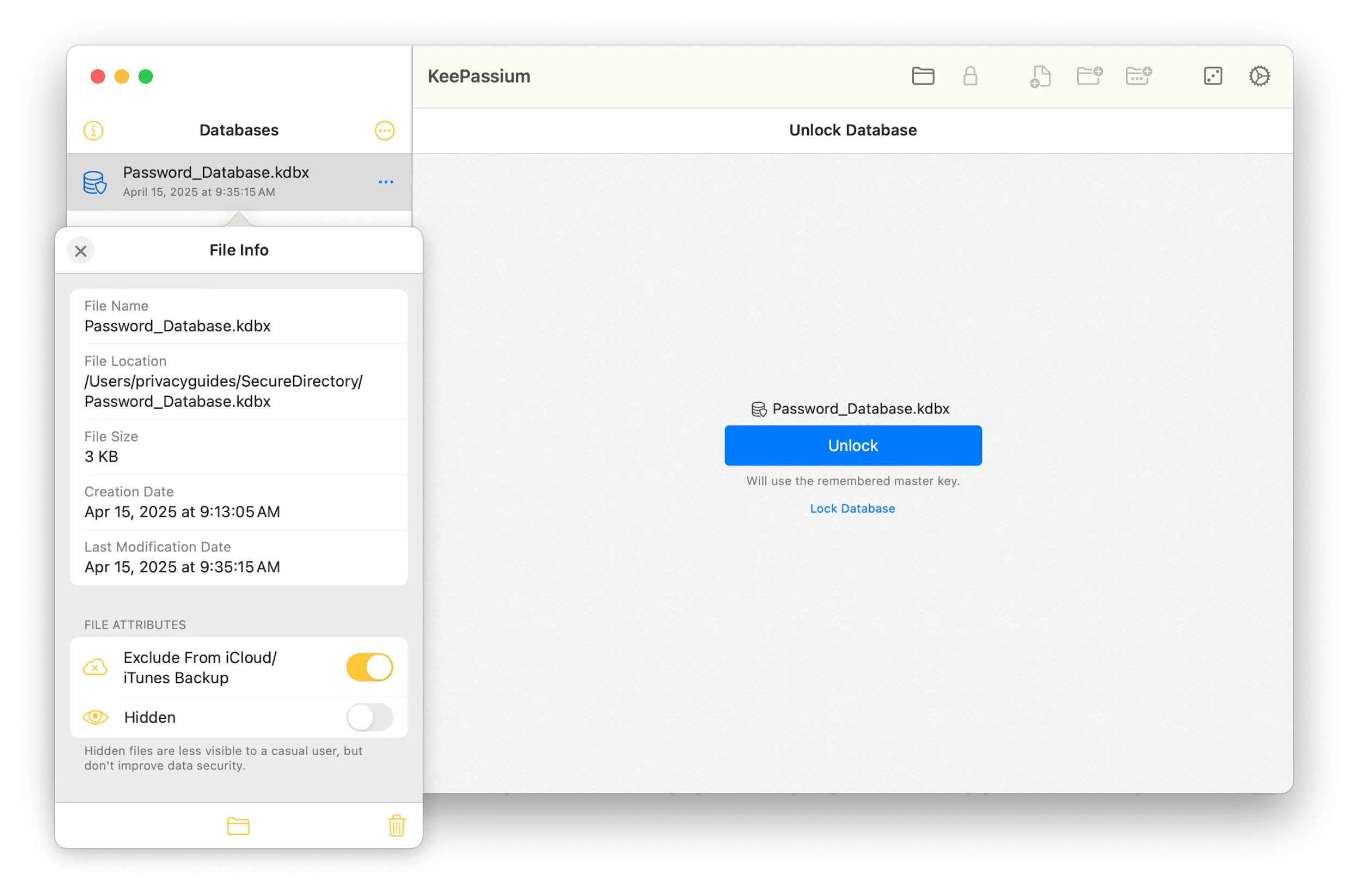 Screenshot from the macOS app showing the File Info for a database, with the "Exclude From iCloud/iTunes Backup" option enabled in yellow.