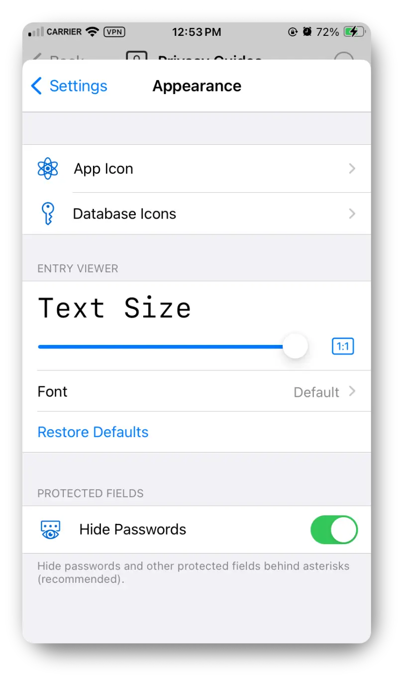 Screenshot from the iOS app showing the Appearance page from the Settings with the Text Size option.